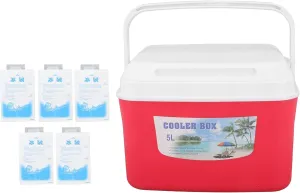 2 in 1 Warmer and Cooler Bag, Portable Outdoor Camping Picnic Cooler Multifunctional Ice Cooler with 5 Ice Bags for Lunch Drinks Fruits