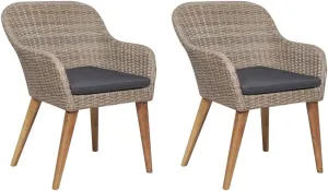 2-Piece Brown PE Rattan Outdoor Dining Chairs with Dark Gray Cushions, Patio Furniture Set with Weather-Resistant Steel Frame for Garden Balcony Backyard