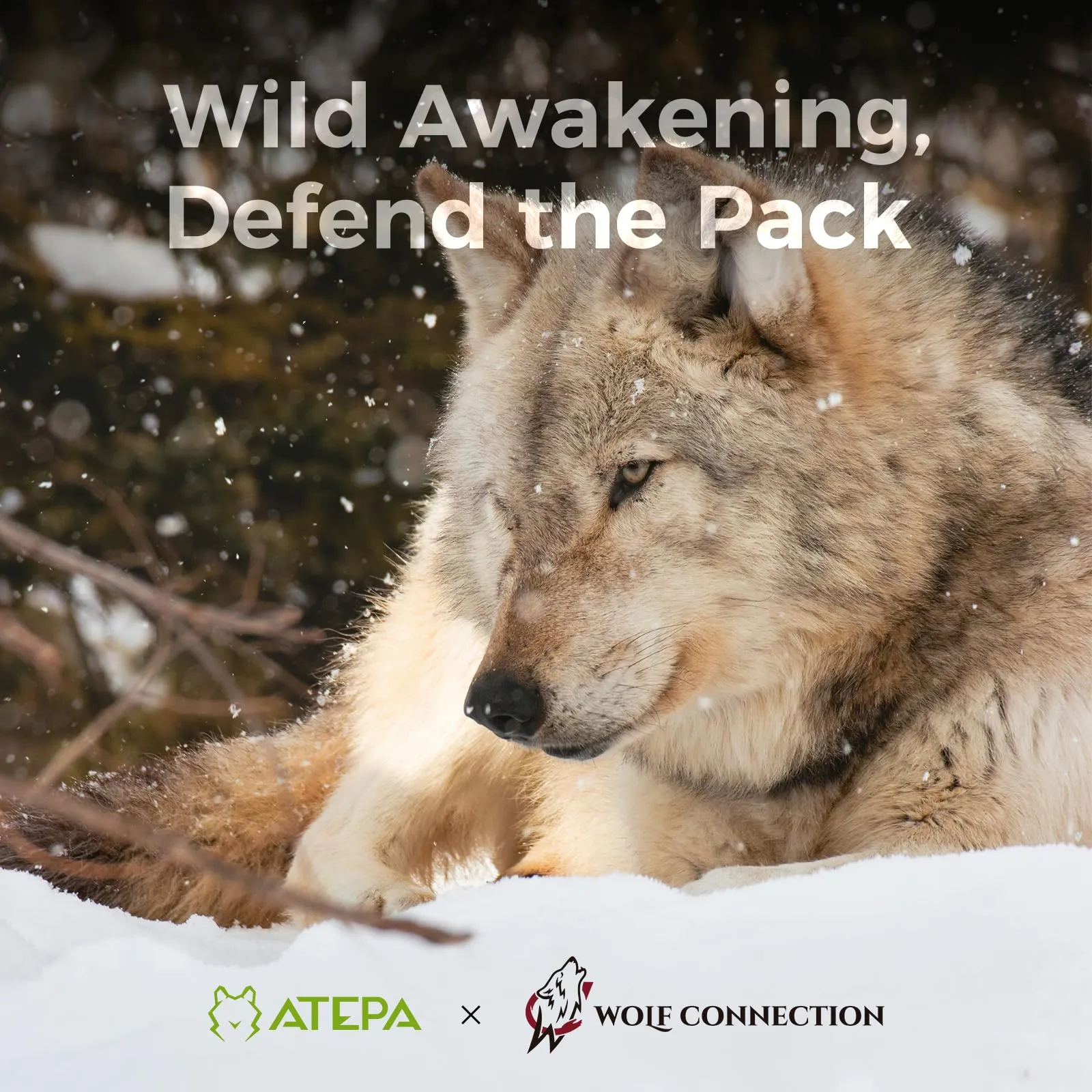 ATEPA Ultimate Backpacking Sleep System Bundle – 3-in-1 Down Sleeping Bag & All-Season Insulated Sleeping Pad