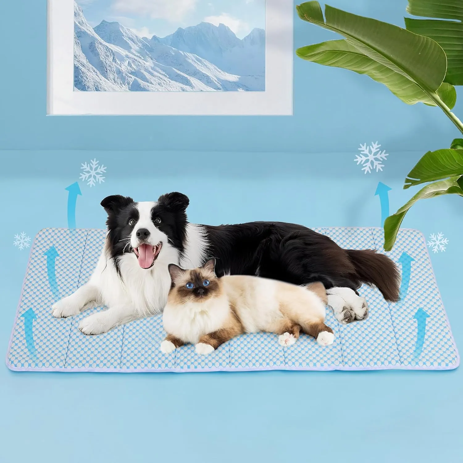 ChicuteDog Cooling Mat for Large Dogs - 47x29 Orthopedic Memory Foam Pet Pad for Summer, QMAX>0.5, Washable Premium Comfort Crate Pad for Your Furry Companion, Blue