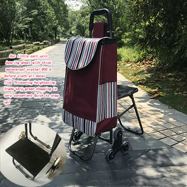 Climbing The Shopping Cart For The Elderly Can Sit And Buy