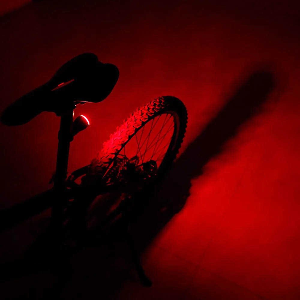 Deemount USB Rechargeable Bicycle