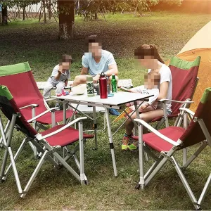 Folding Camping Fishing Chair with Foldable Backrest, Camping Ultralight Aluminum Tube Seat Stool Backpack Chair with Handrail Chairs Foldable(Green)