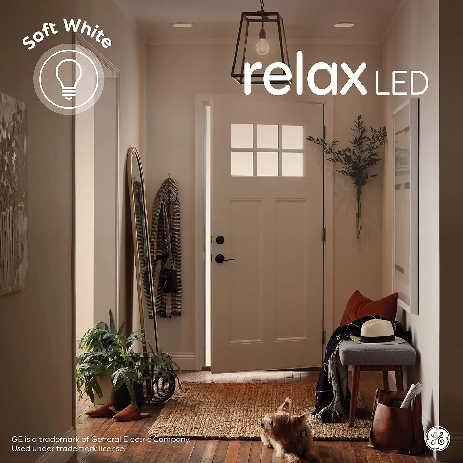 GE Relax LED Light Bulbs, 60 Watt, Soft White, G25 Globe Bulbs, Frosted, Medium Base (3 Pack)