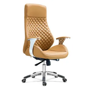 Kevin Executive Director Chair Brown colour