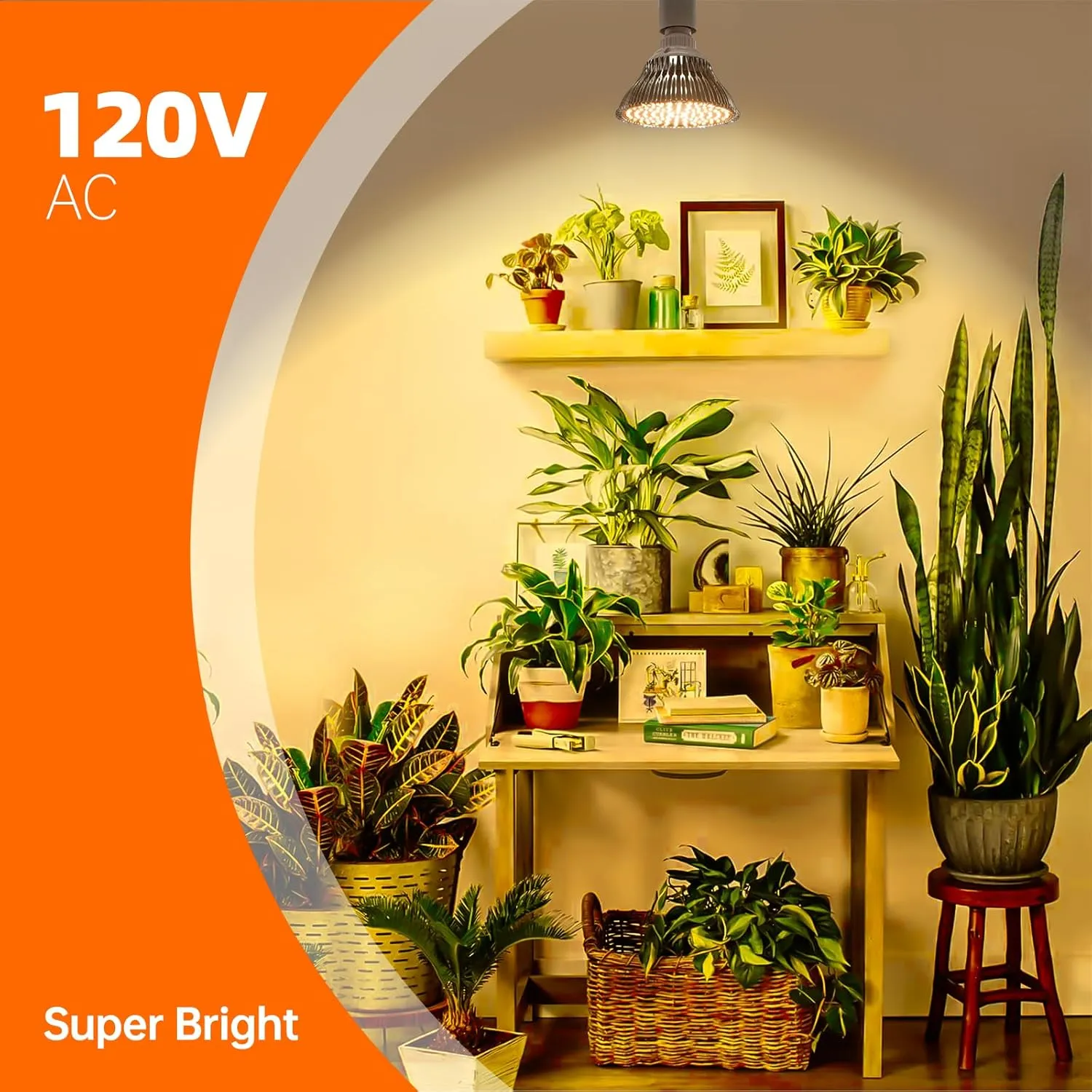 LED Hanging Grow Light, Grow Light Bulb for Indoor Plants, 25W Full Spectrum Hanging Grow Light,3000K Plant Light Bulbs with 16.4FT Power Cord, Pendant Grow Lights for Indoor Plants, 1 Pack