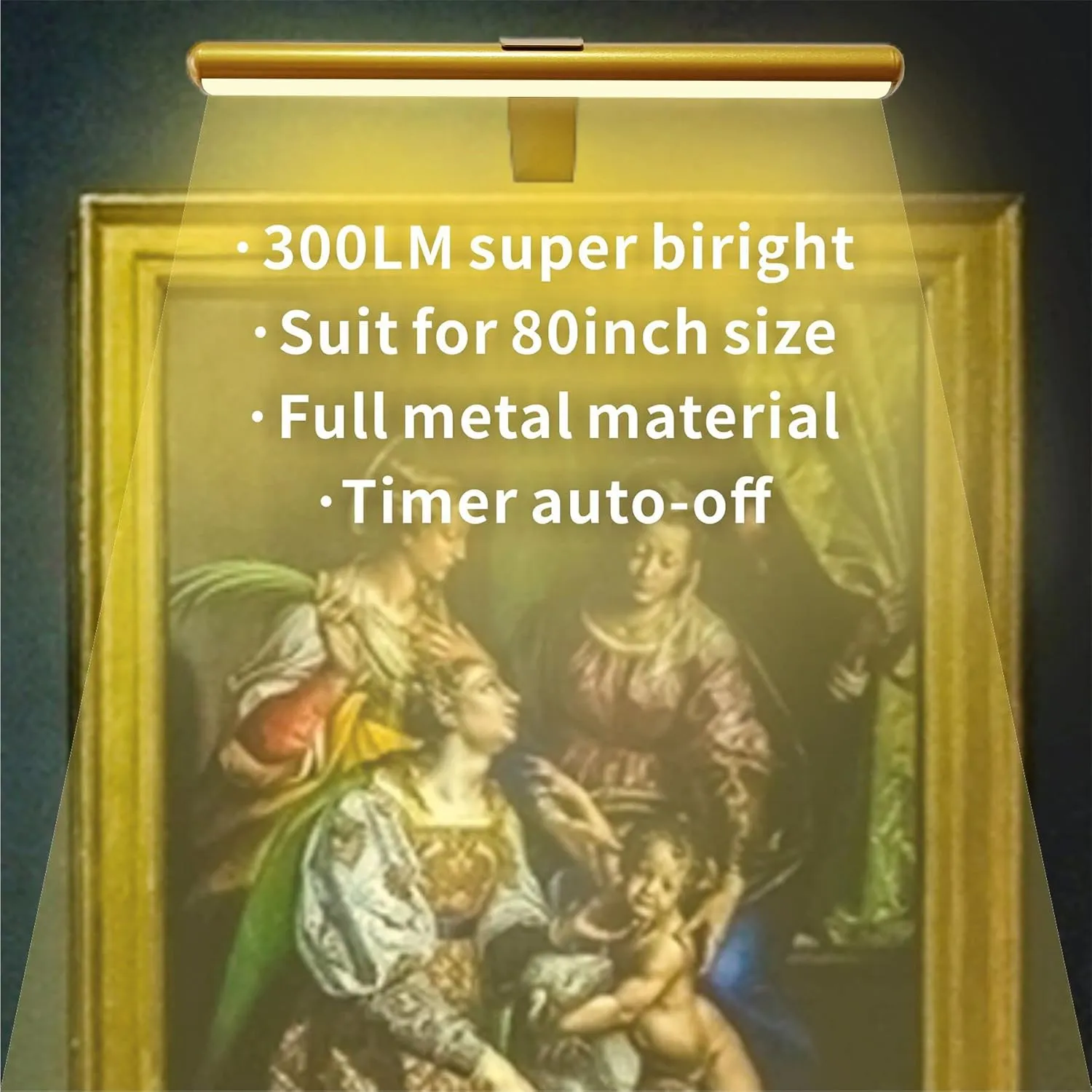 LED Picture Light with Remote, Rechargeable - 16'' Full Metal Art Display Light, Brightness Dimmable Timer Off for Pictures, Paintings, Gallery Frame, Darboard