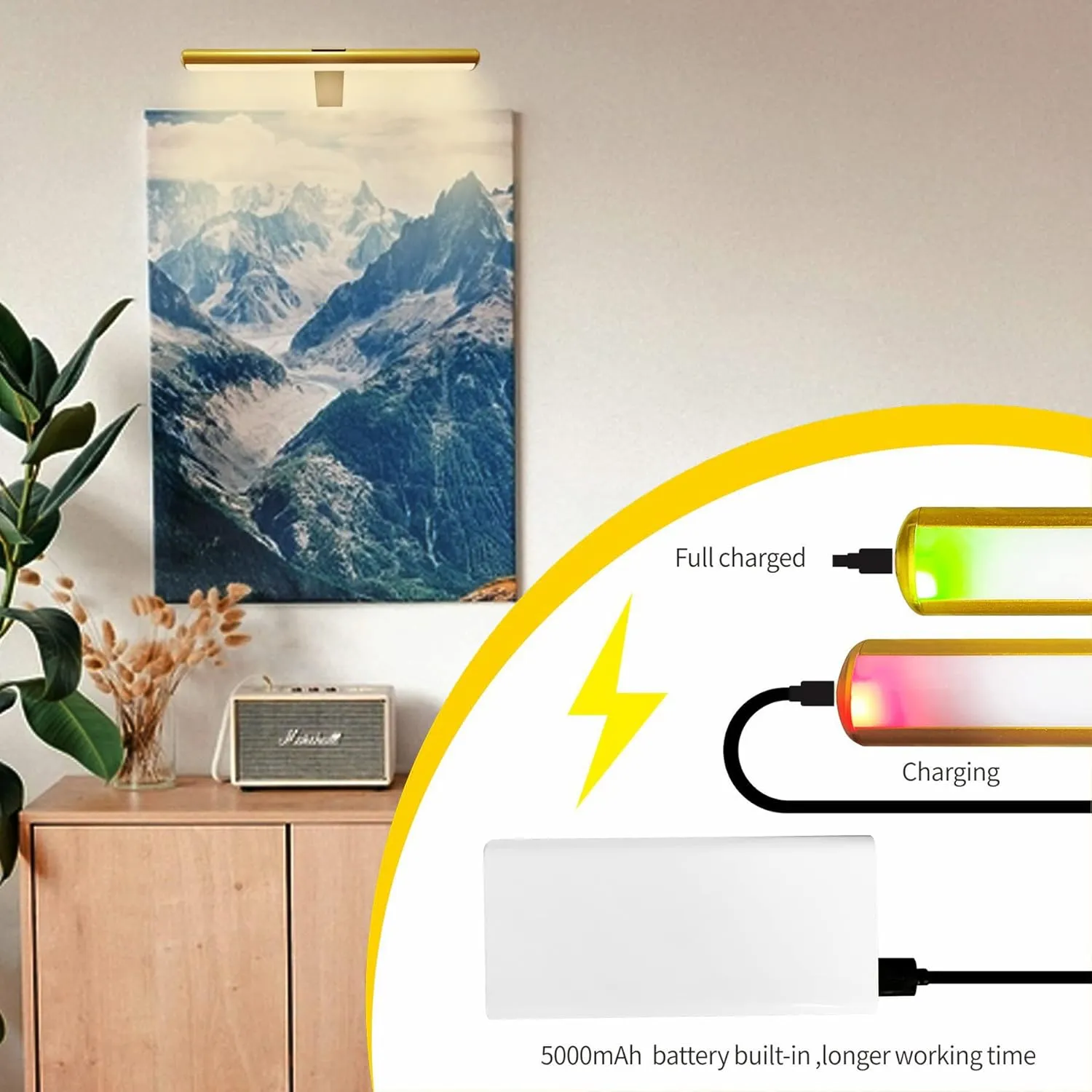 LED Picture Light with Remote, Rechargeable - 16'' Full Metal Art Display Light, Brightness Dimmable Timer Off for Pictures, Paintings, Gallery Frame, Darboard