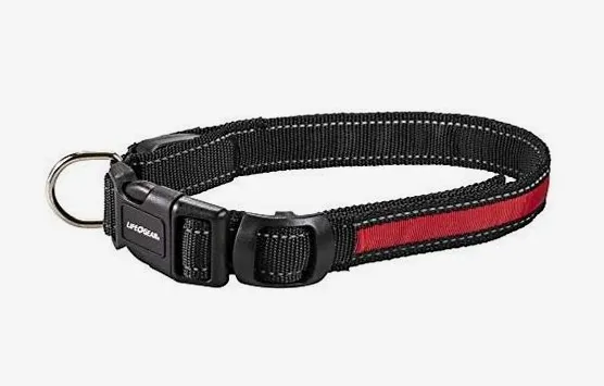 LED USB Rechargeable Medium Dog Collar 16-18 inches- RED