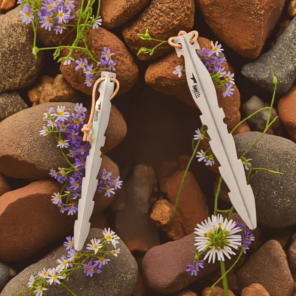 Piquets de Tente en Titane