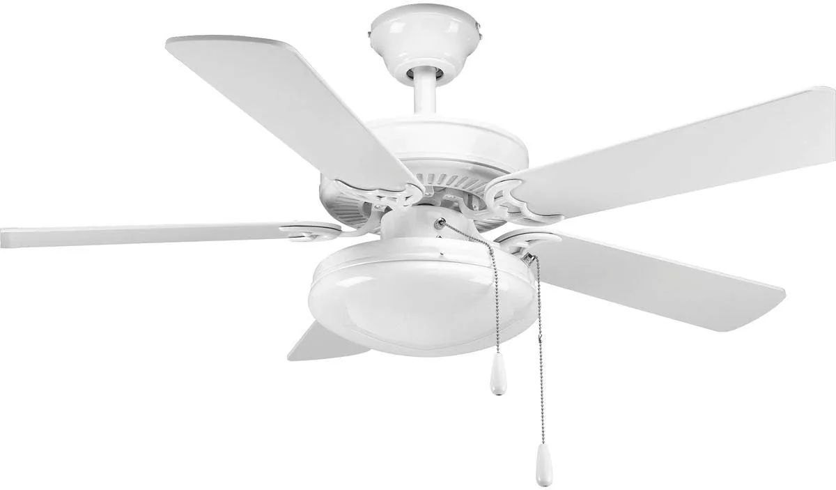 Progress Lighting P2602-30WB AirPro Collection Universal Opal Glass Ceiling Fan Light Kit, 2-Light, White
