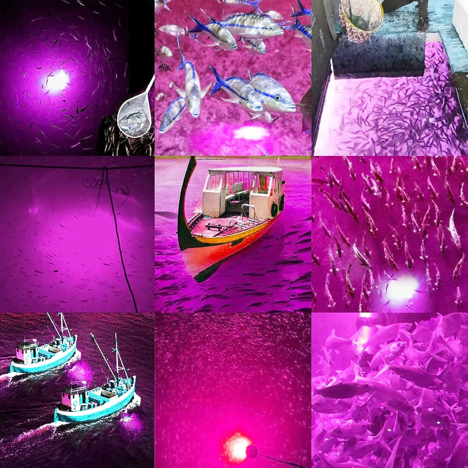 SAMDO IP68 12V LED Underwater Fishing Light 1080 Lumens Fish Attracting Light, Night Fishing Light 10.8W