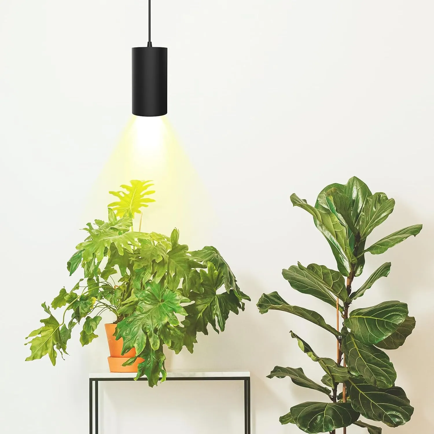 STERREN Plant Grow Light,Led Pendant Light for Indoor Plants,Full Spectrum Hanging Grow Lights with 21 FT Height Adjustable Power Cord, ON/Off Switch Black Plant Lights for Indoor Plant Growing