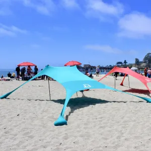The SunBear Shade - Large