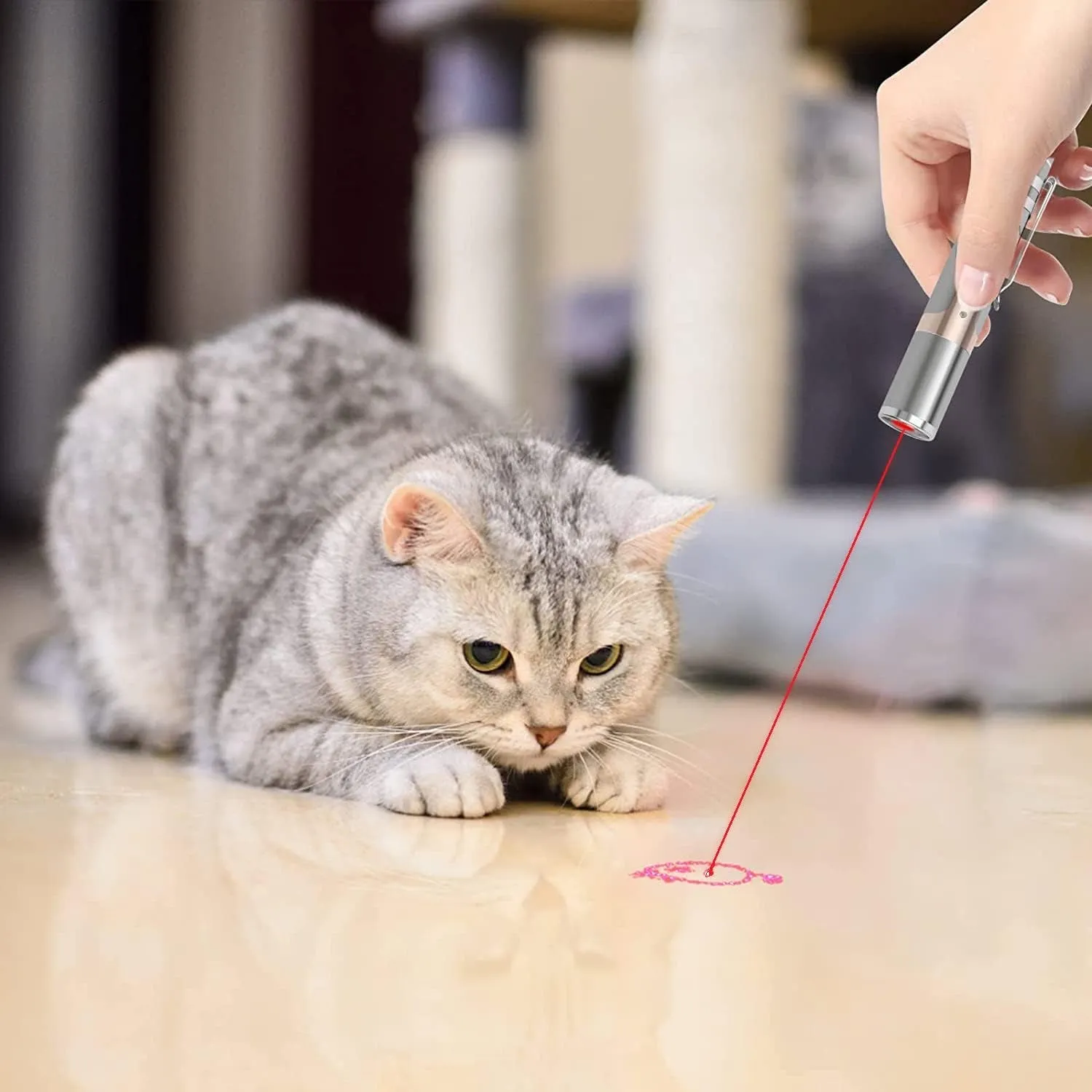 Toys -Cat Laser Pointer Toys