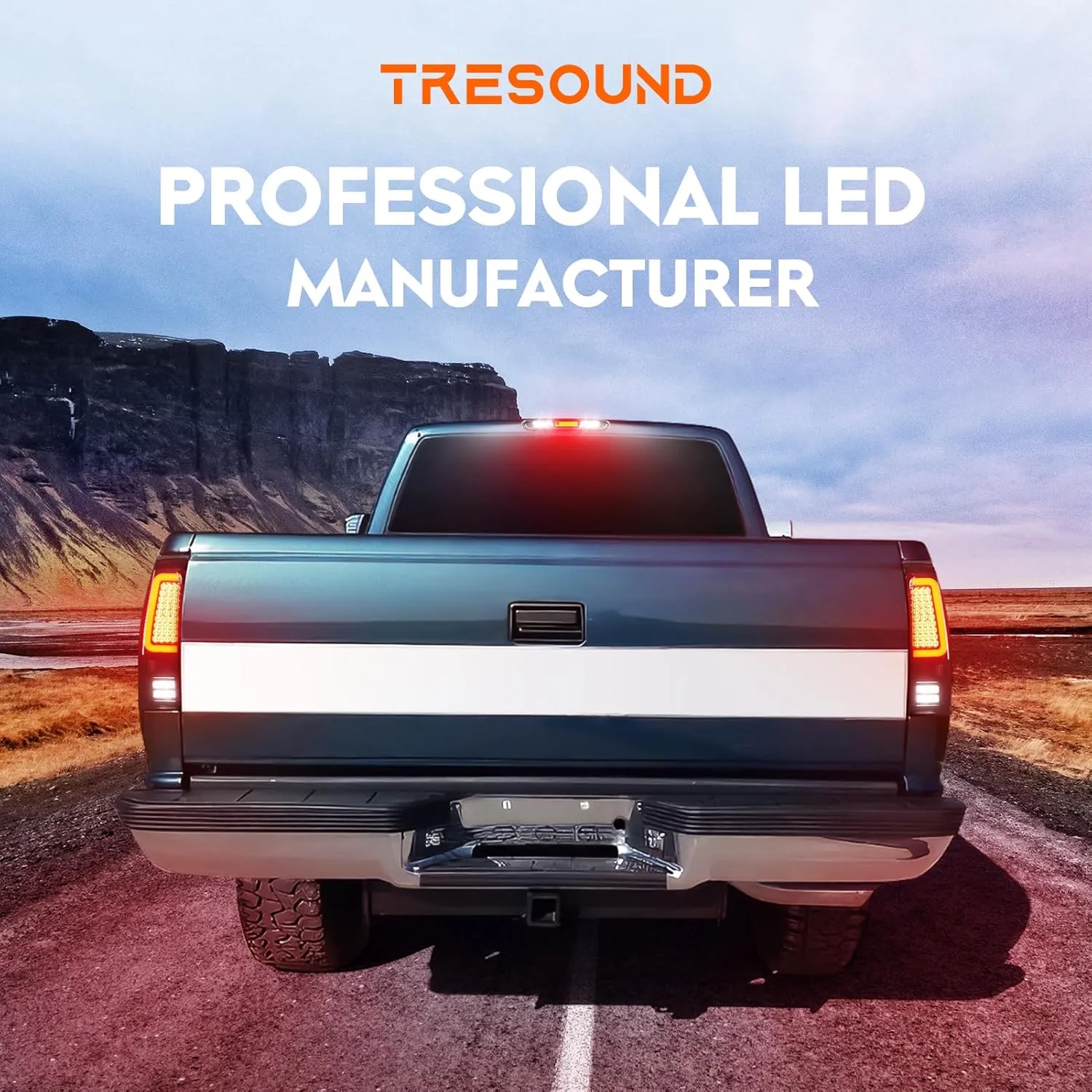 Tresound LED Tail Light   3rd Third Brake Cargo Lamp for GMC Sierra 1500 2007-2013, 2500 3500 2007-2014, High Mount Stop Light Rear Taillight Assembly, 25958485, GM2800208, GM2801208, 25958484