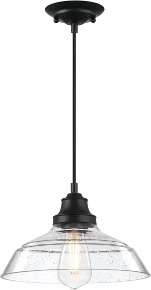 Westinghouse 6132200 Iron Hill Vintage-Style One Light Indoor Pendant, Matte Black Finish, Clear Seeded Glass